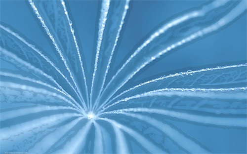临朐老车站对面那座高楼叫什么，临朐光电大厦在那