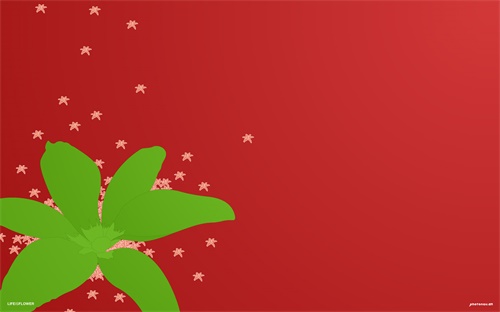 濮阳县职教中心新校区在哪里，濮阳职业技术学院地址